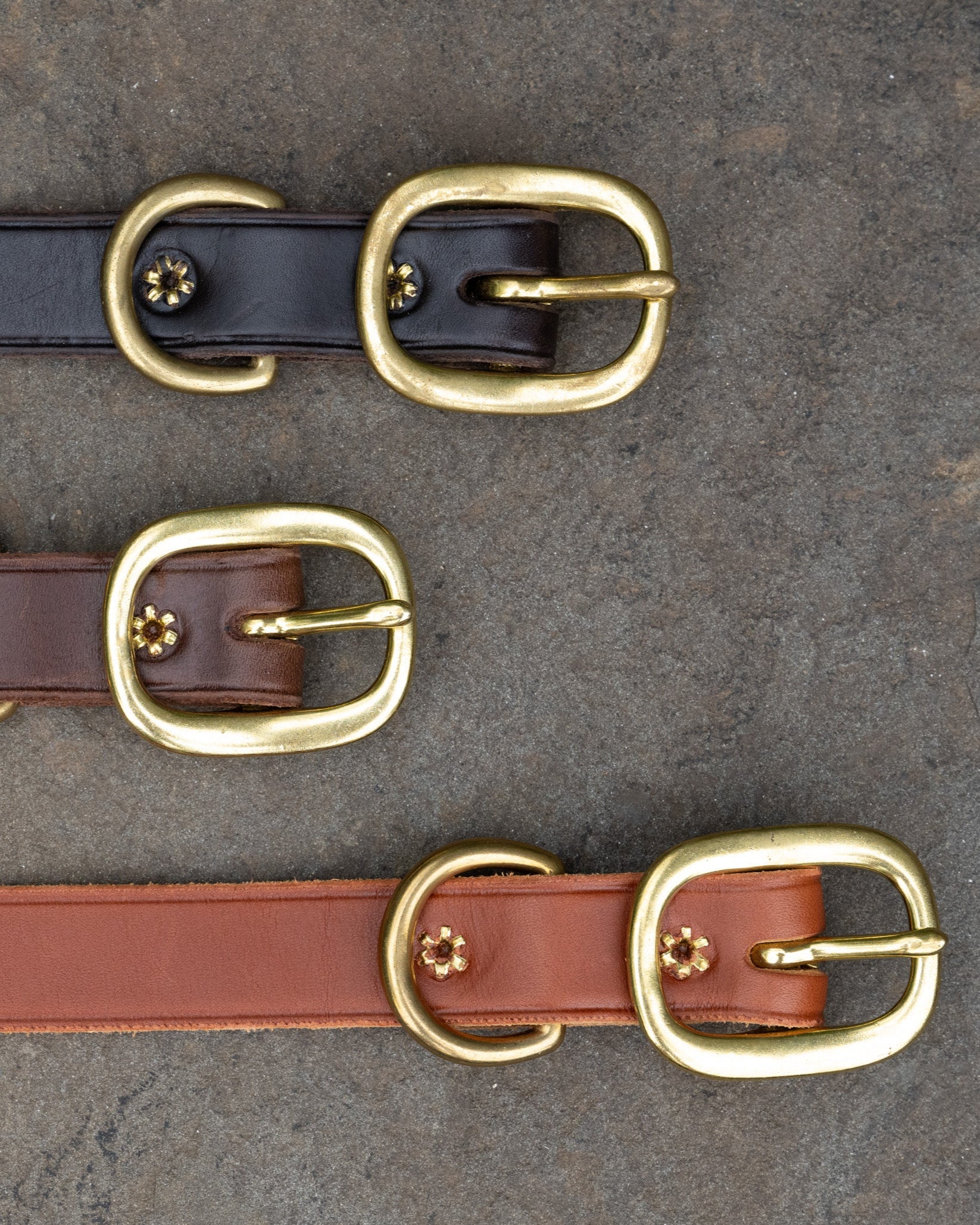 Image of product The River Collar in Black,  Dark Brown and Light brown. Sturdy high quality buckle, D Ring and brass rivets make this collar extra handsome. A tiny bee is branded on the tip of each collar. Available in two sizes- Large for the bigger breeds such as Labrador, German Shepard, Retriever and Bernese Mt Dog. Medium for the smaller breeds, Border Collie, Cocker Spaniel and Poodle.